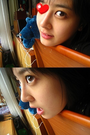 20090510173340_56668307