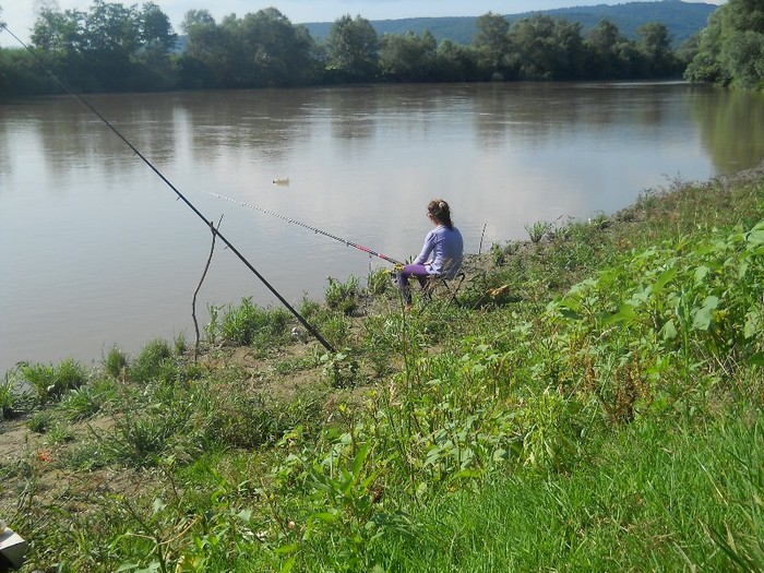 deja am predat stafeta - CU DE TOATE