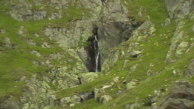 IMGA0242