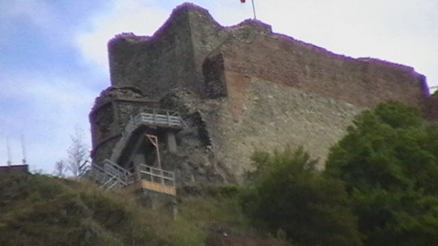 IMGA0067 - CETATEA POIENARI