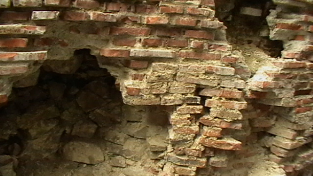 IMGA0087 - CETATEA POIENARI