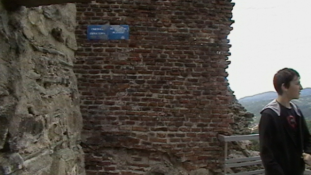 IMGA0089 - CETATEA POIENARI