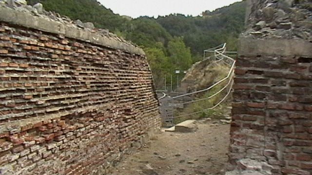 IMGA0107 - CETATEA POIENARI