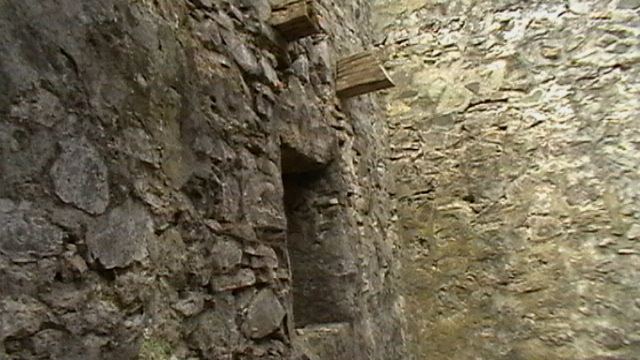 IMGA0110 - CETATEA POIENARI