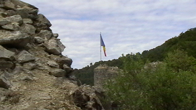 IMGA0128 - CETATEA POIENARI