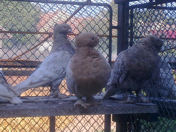 %u0635%u0648%u0631%u0629%u0661%u0665%u0668%u0669