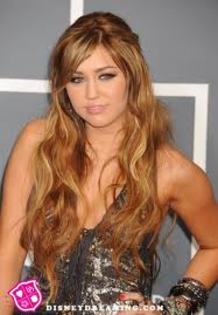 images (3) - miley cyrus