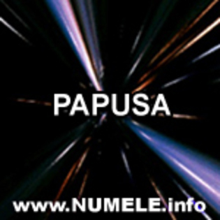 papusika - PaPuSiKa