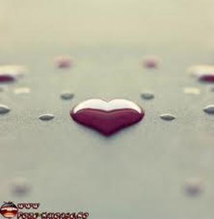 image - and_andreea