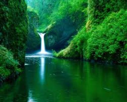 cascada in natura - natura