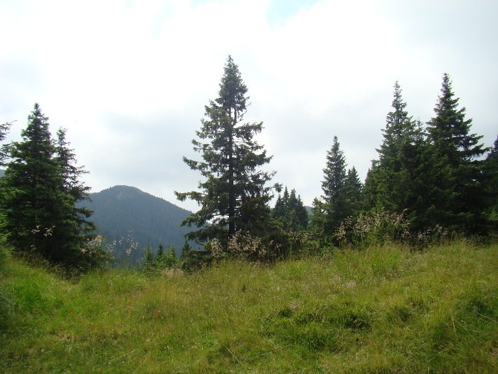 DSC07980