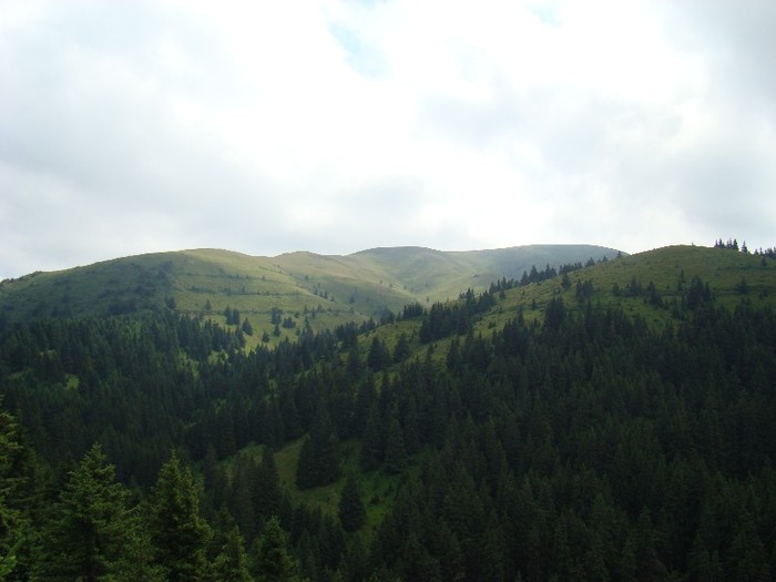 DSC08003