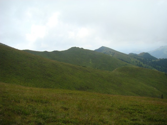 DSC08026