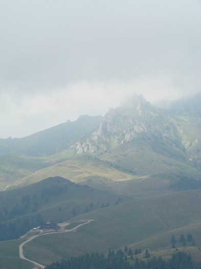 DSC08029