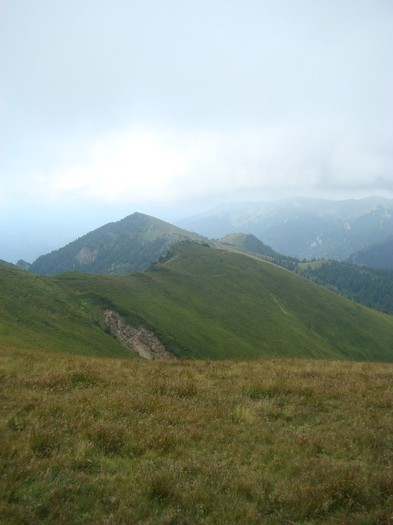 DSC08030