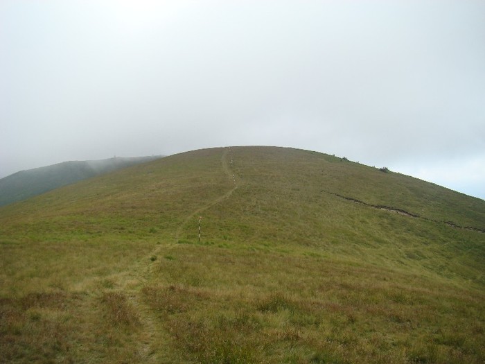 DSC08031