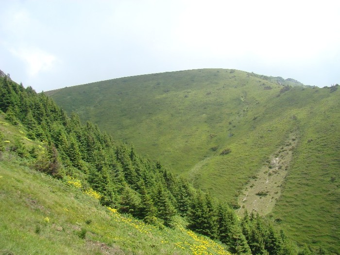DSC08035
