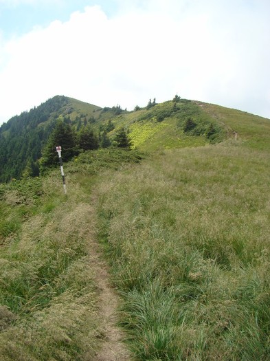 DSC08037