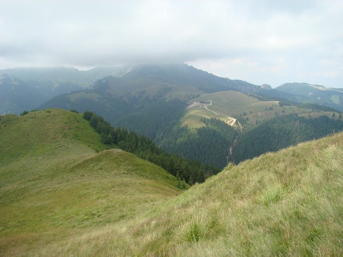 DSC08043