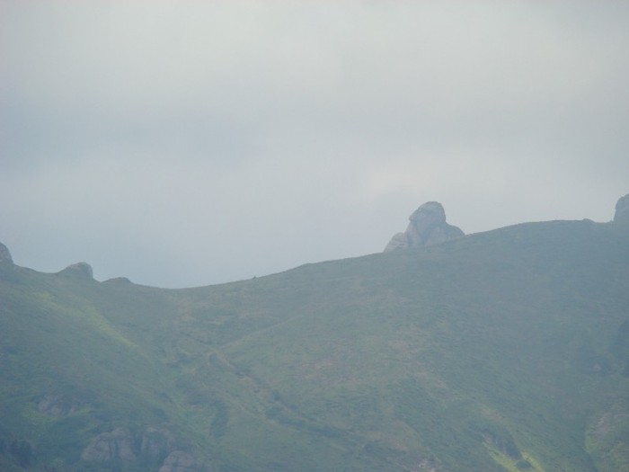 DSC08048