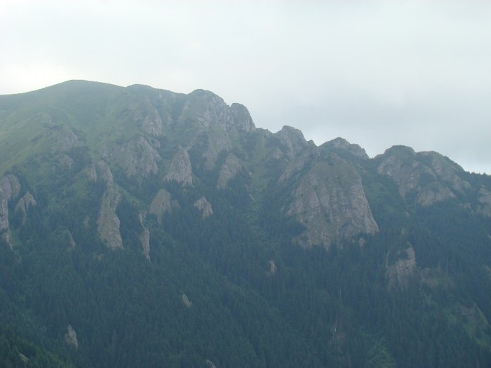 DSC08056