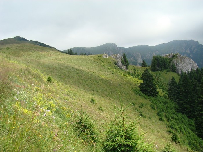 DSC08059