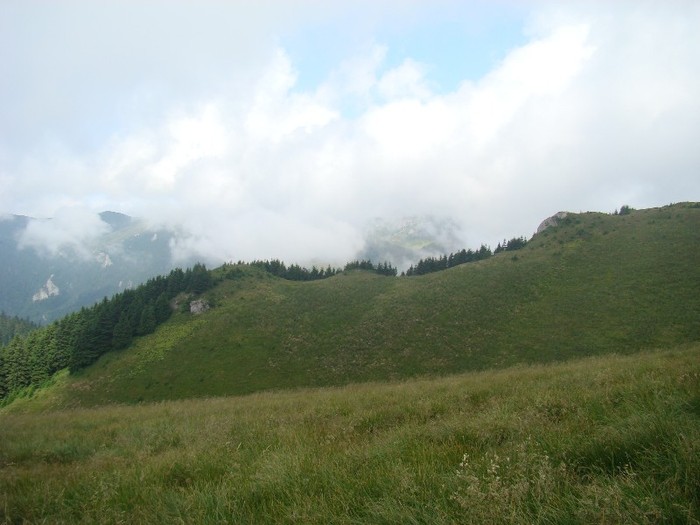 DSC08060