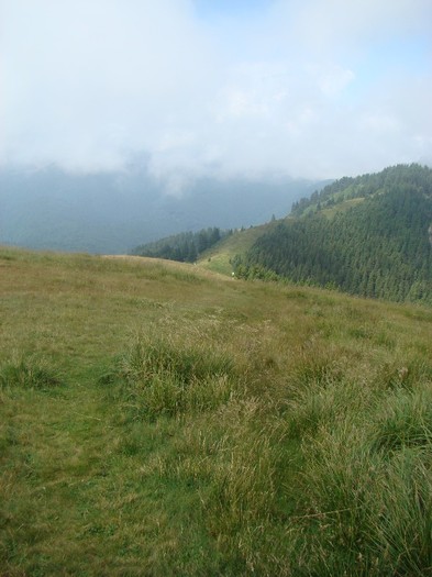 DSC08062