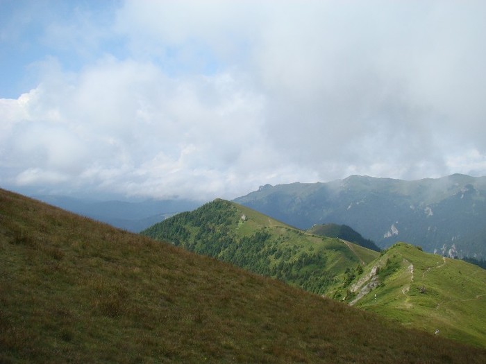 DSC08066