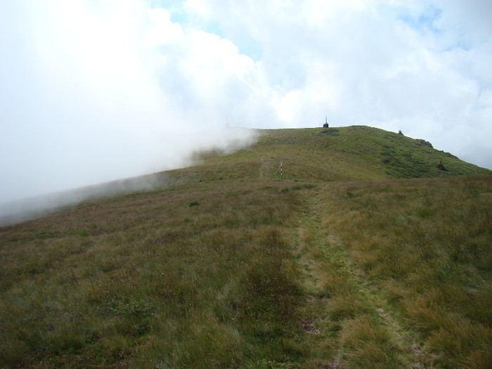 DSC08068