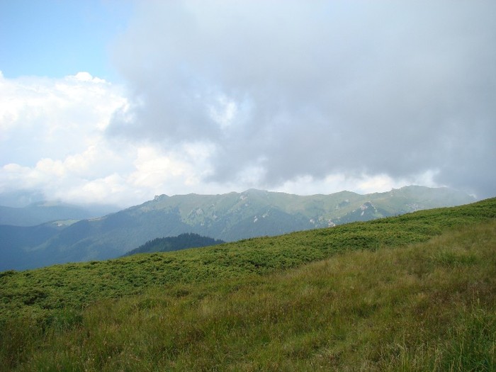 DSC08074