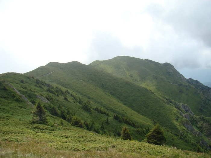 DSC08077
