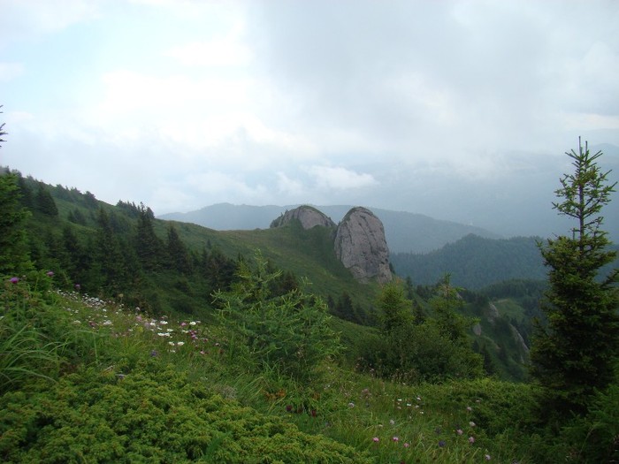 DSC08091