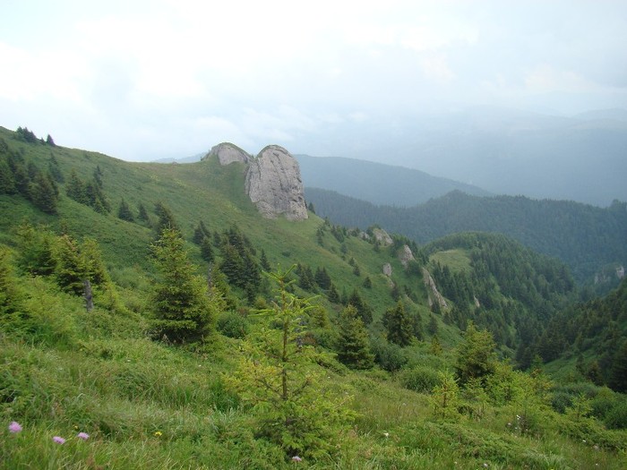 DSC08096