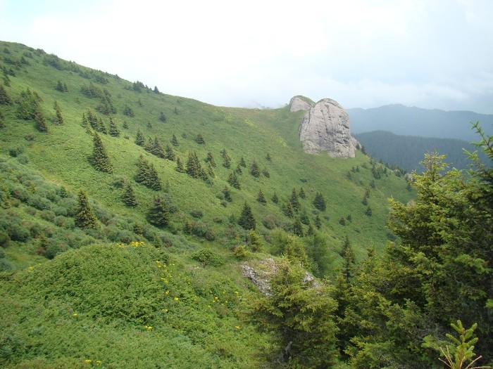DSC08098