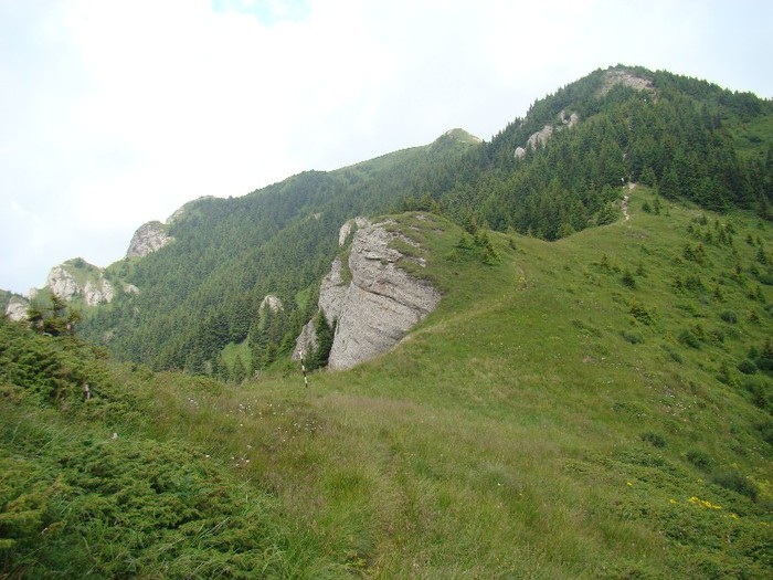 DSC08099