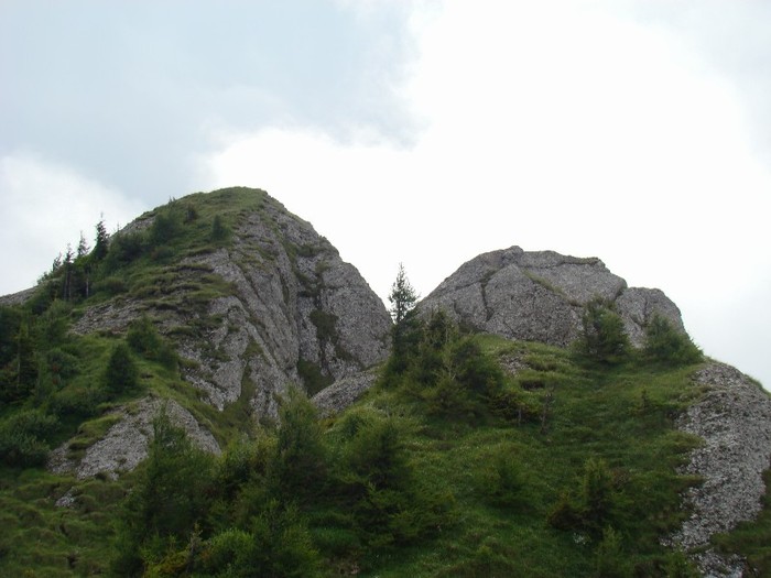 DSC08106