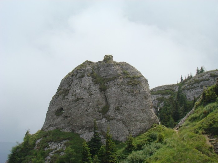 DSC08110