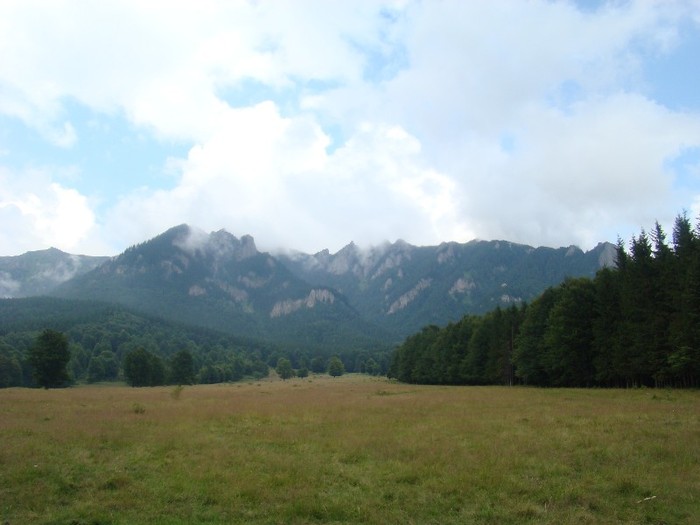 DSC08154