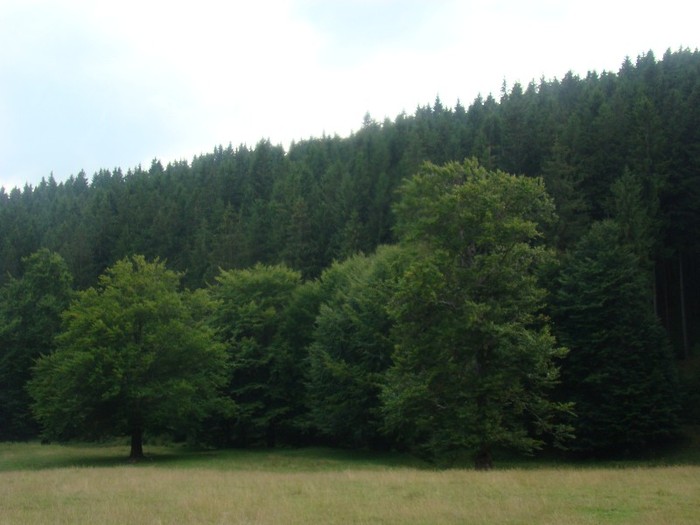 DSC08156