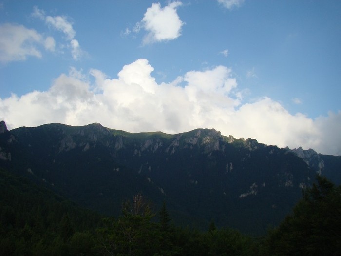 DSC08164