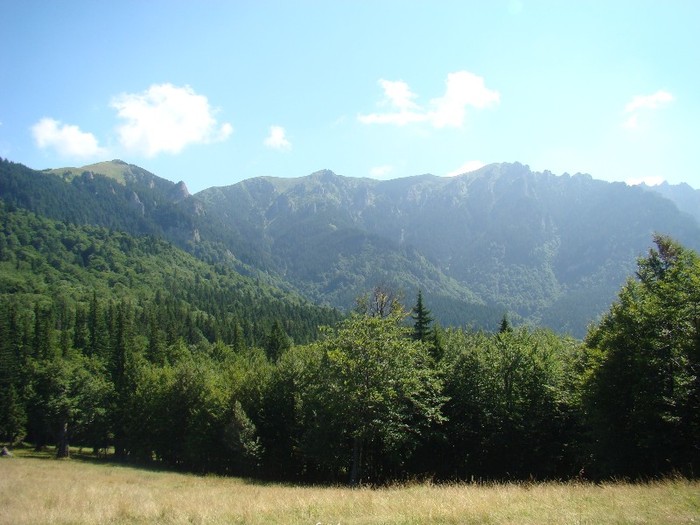 DSC08166