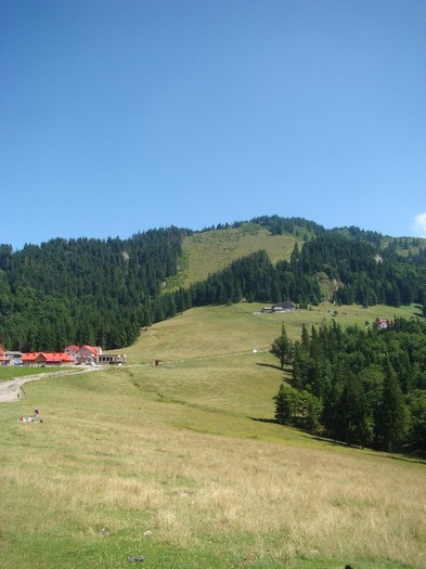 DSC08167