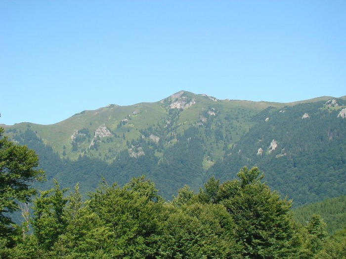 DSC08170