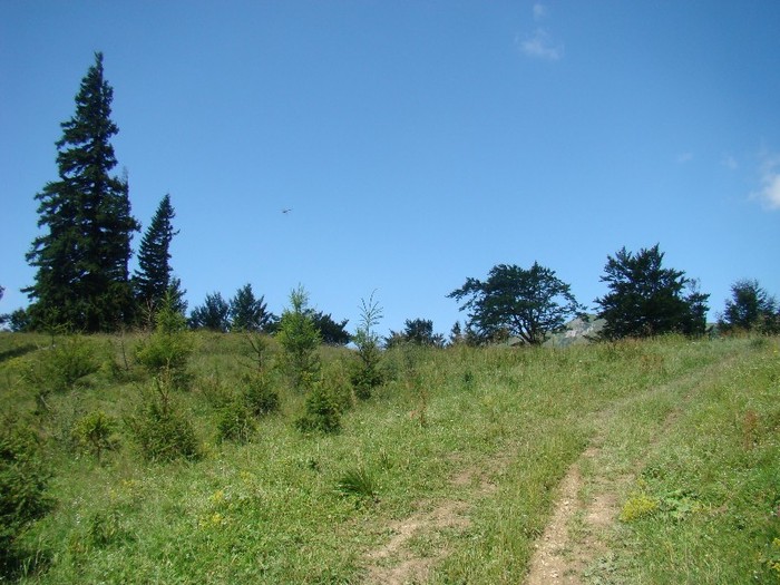DSC08173