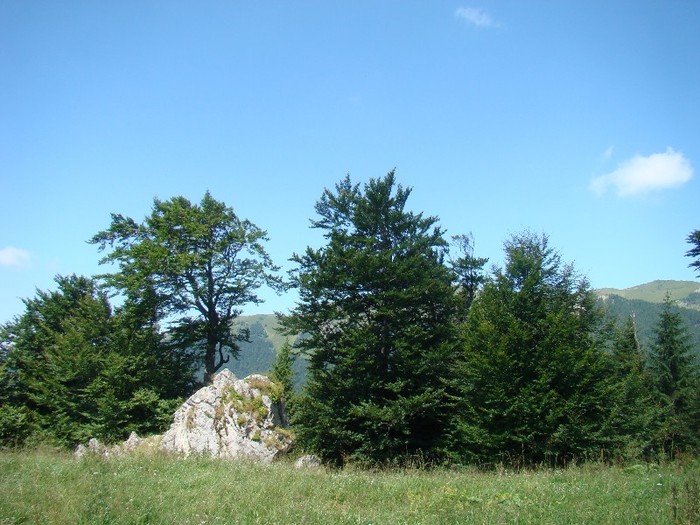DSC08174