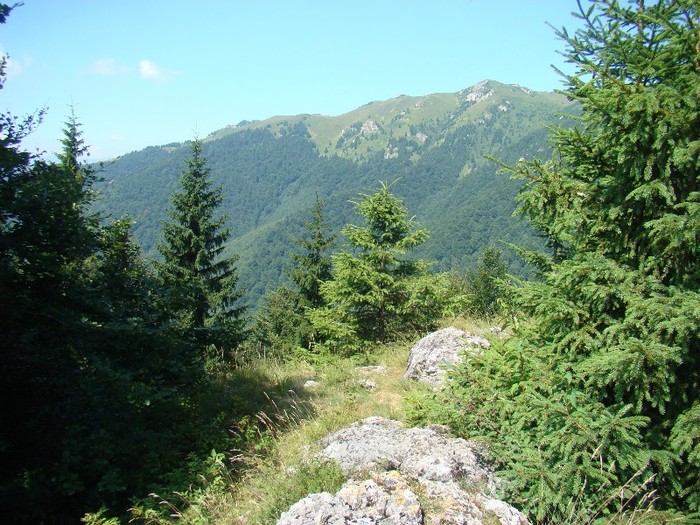 DSC08179