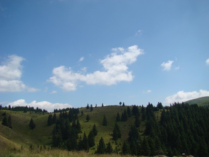 DSC08184
