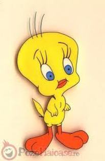 tweety