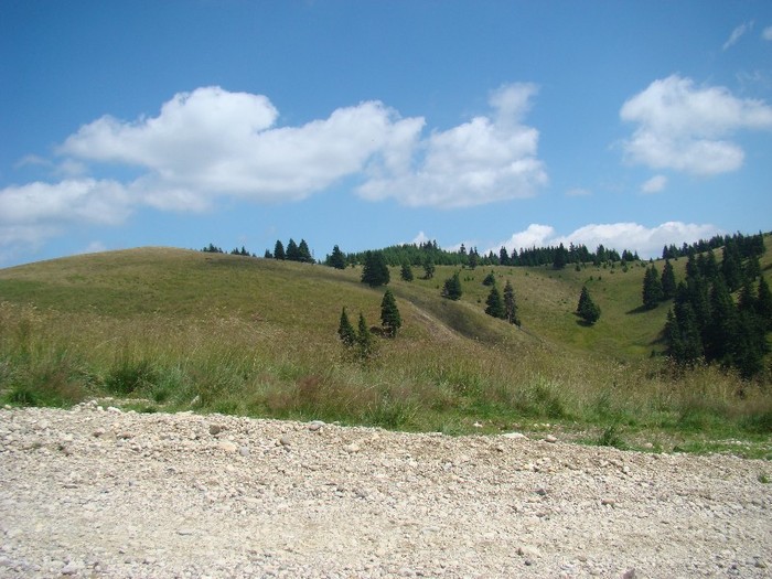DSC08187